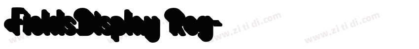 FieldsDisplay Reg字体转换
